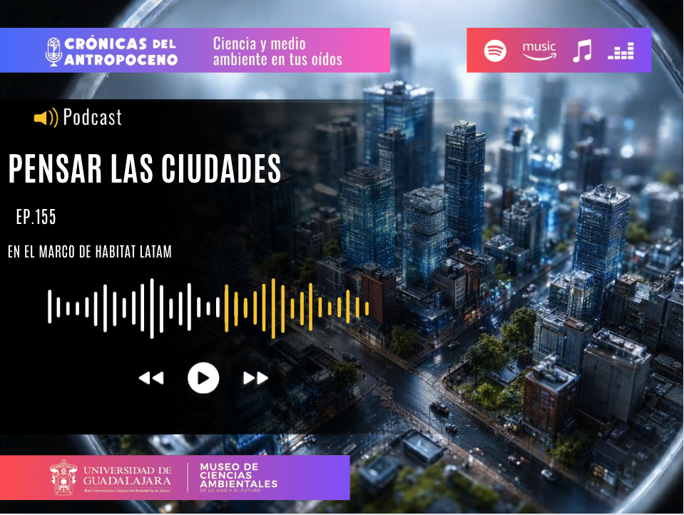PENSAR LAS CIUDADES