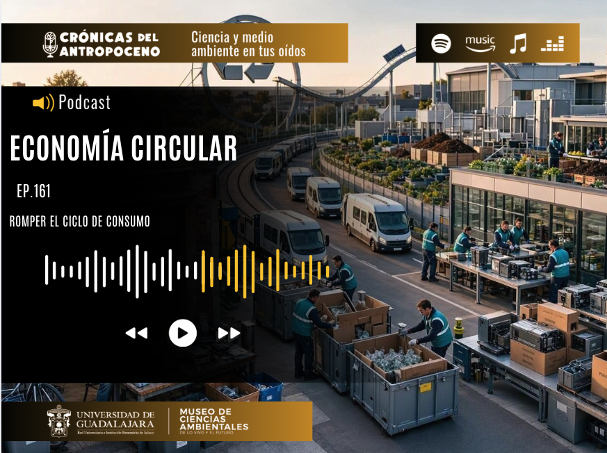 ECONOMÍA CIRCULAR