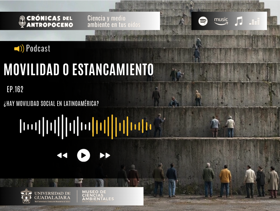 ¿MOVILIDAD SOCIAL O ESTANCAMIENTO DE CLASE?