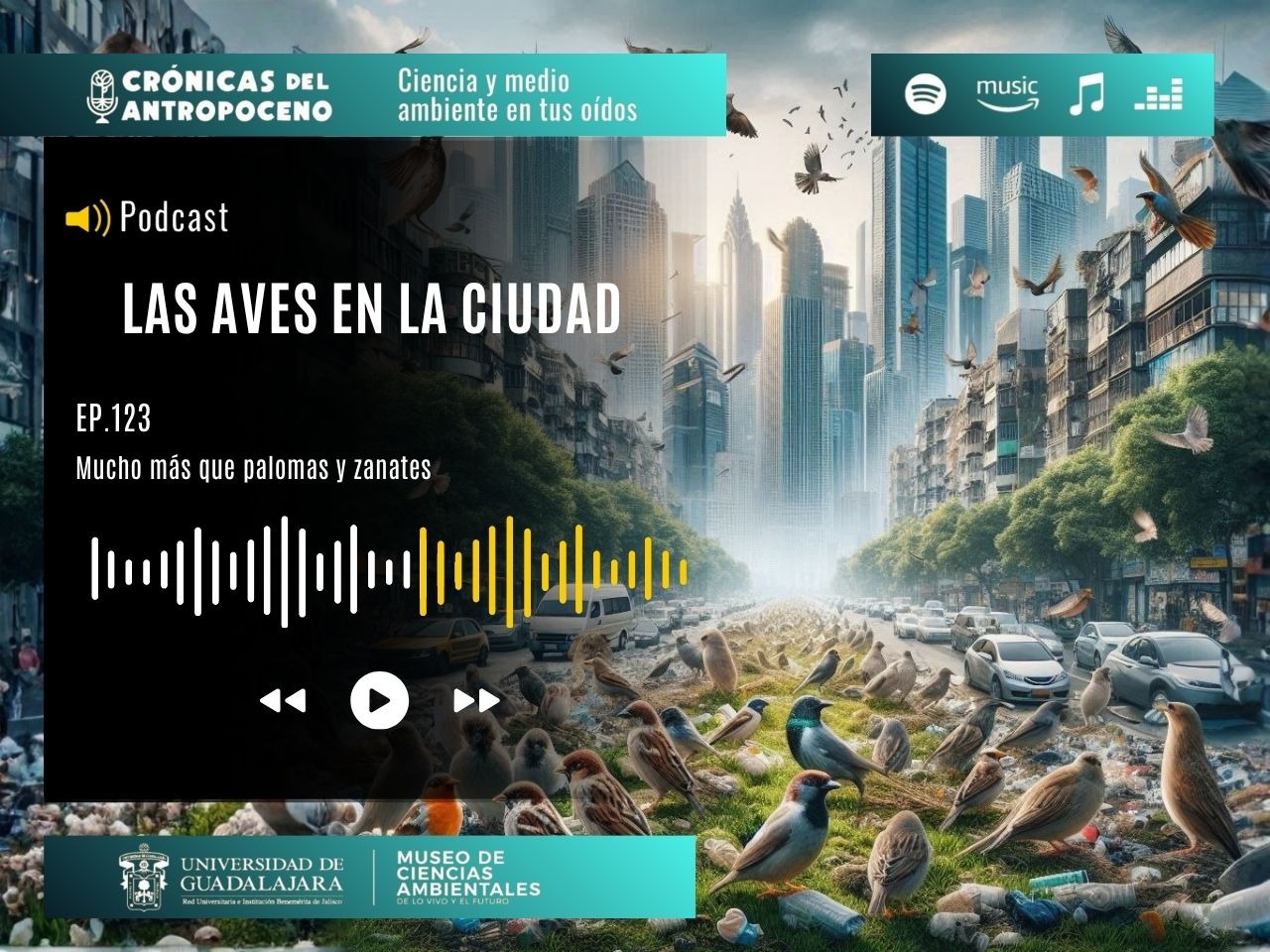 LAS AVES Y LA CIUDAD