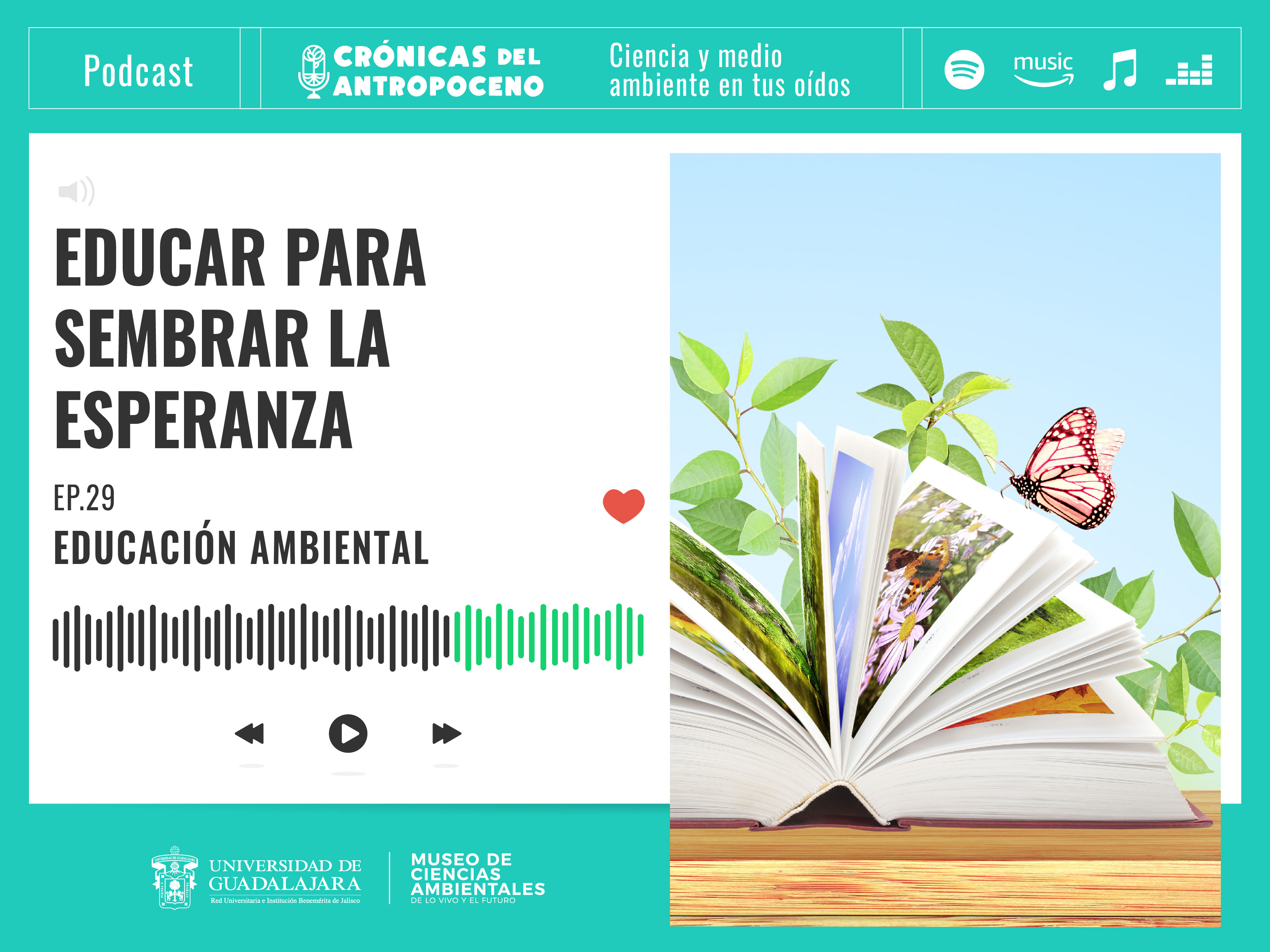 EDUCACIÓN AMBIENTAL