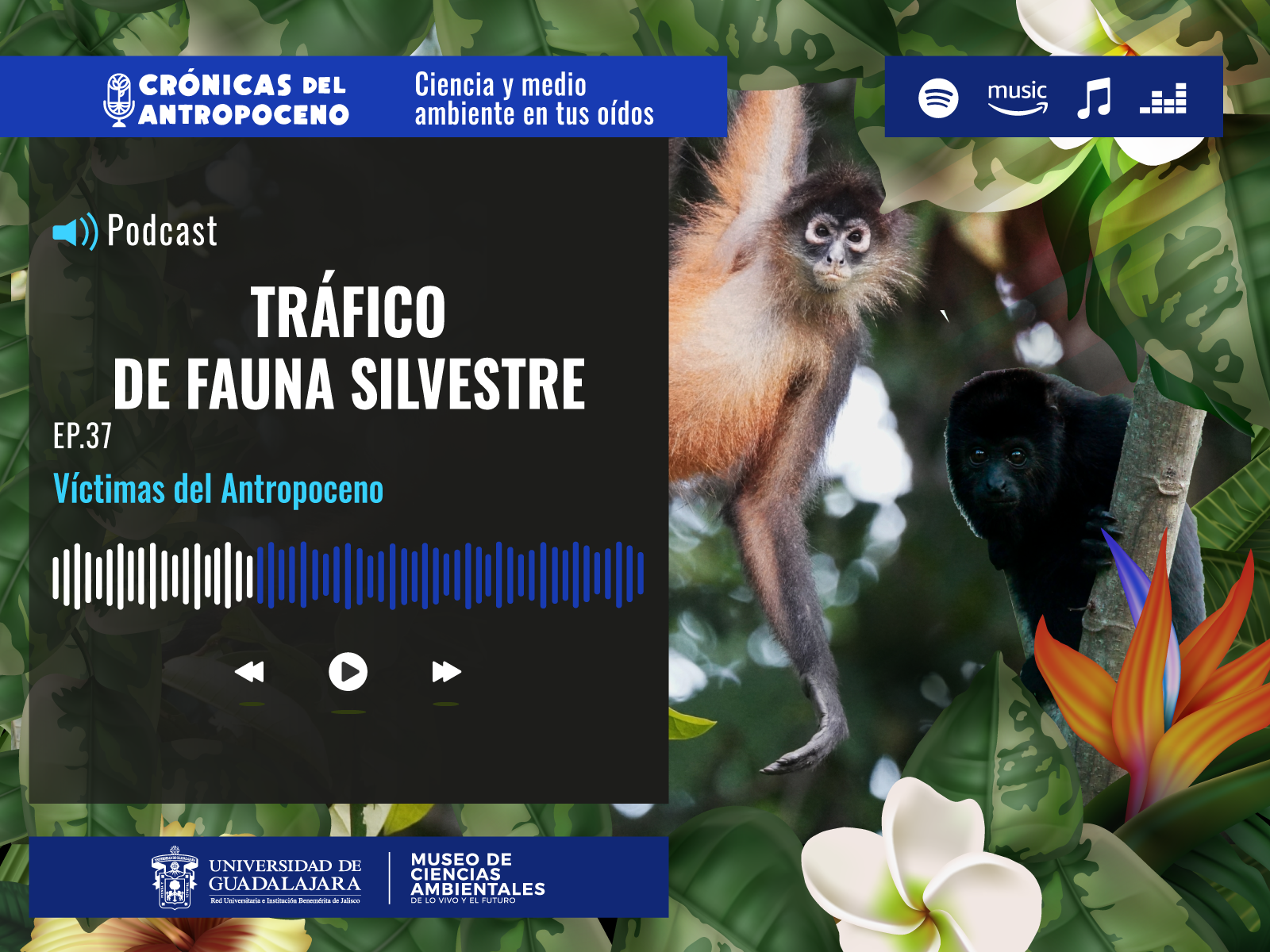 TRÁFICO DE FAUNA SILVESTRE