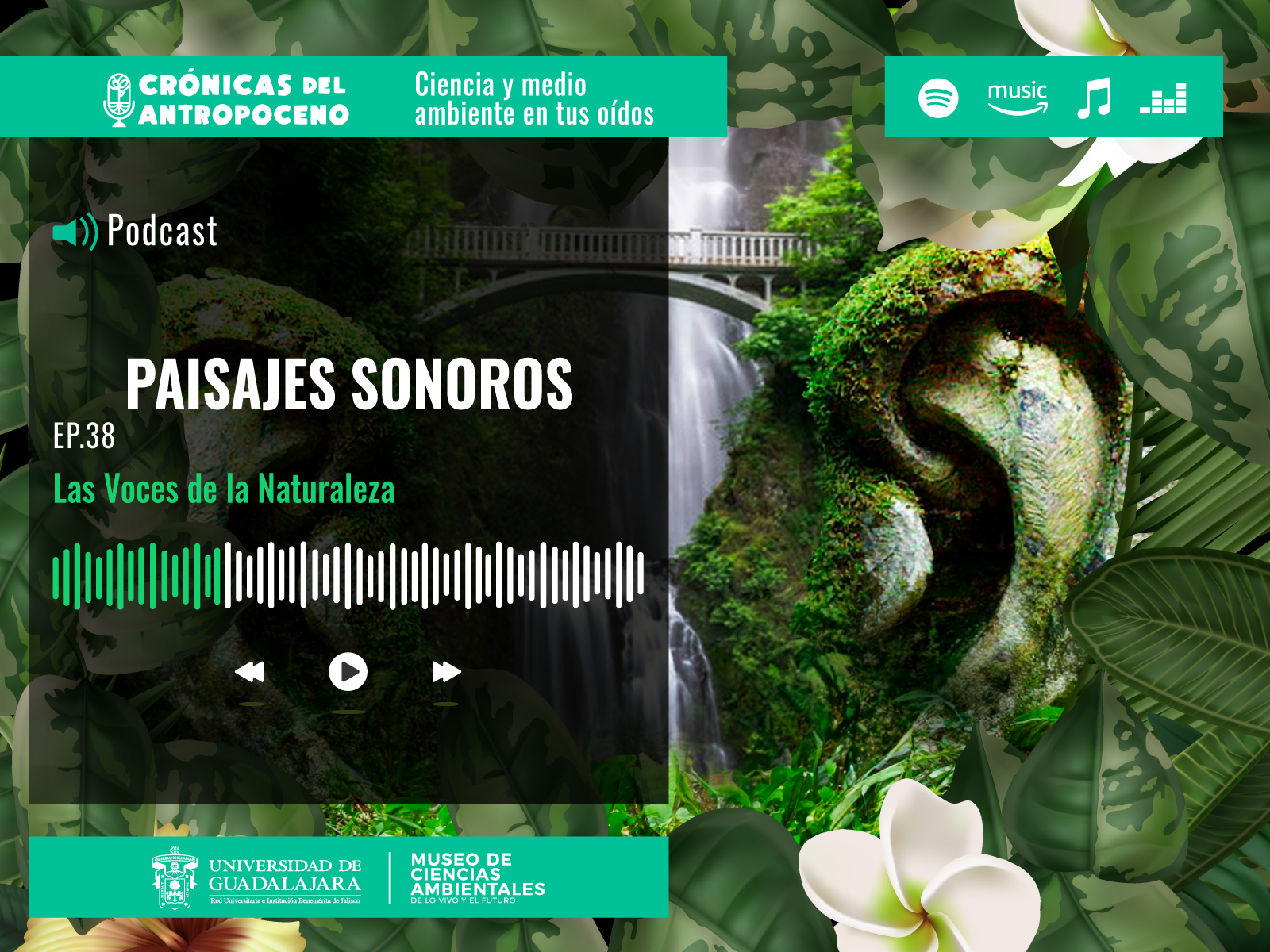 PAISAJES SONOROS