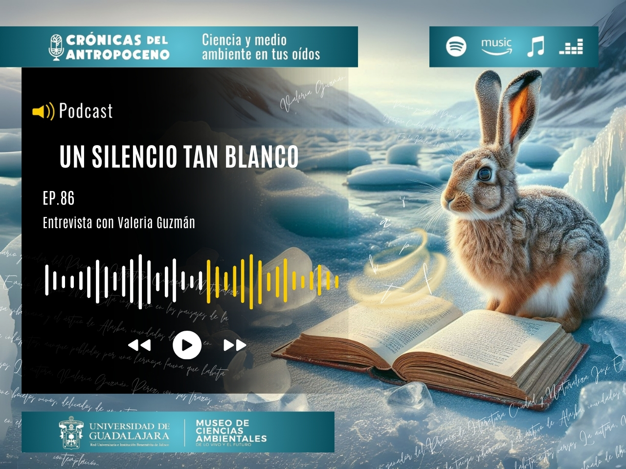 UN SILENCIO TAN BLANCO