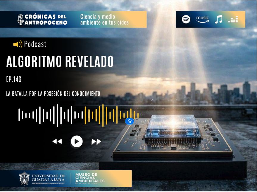 ALGORITMO REVELADO