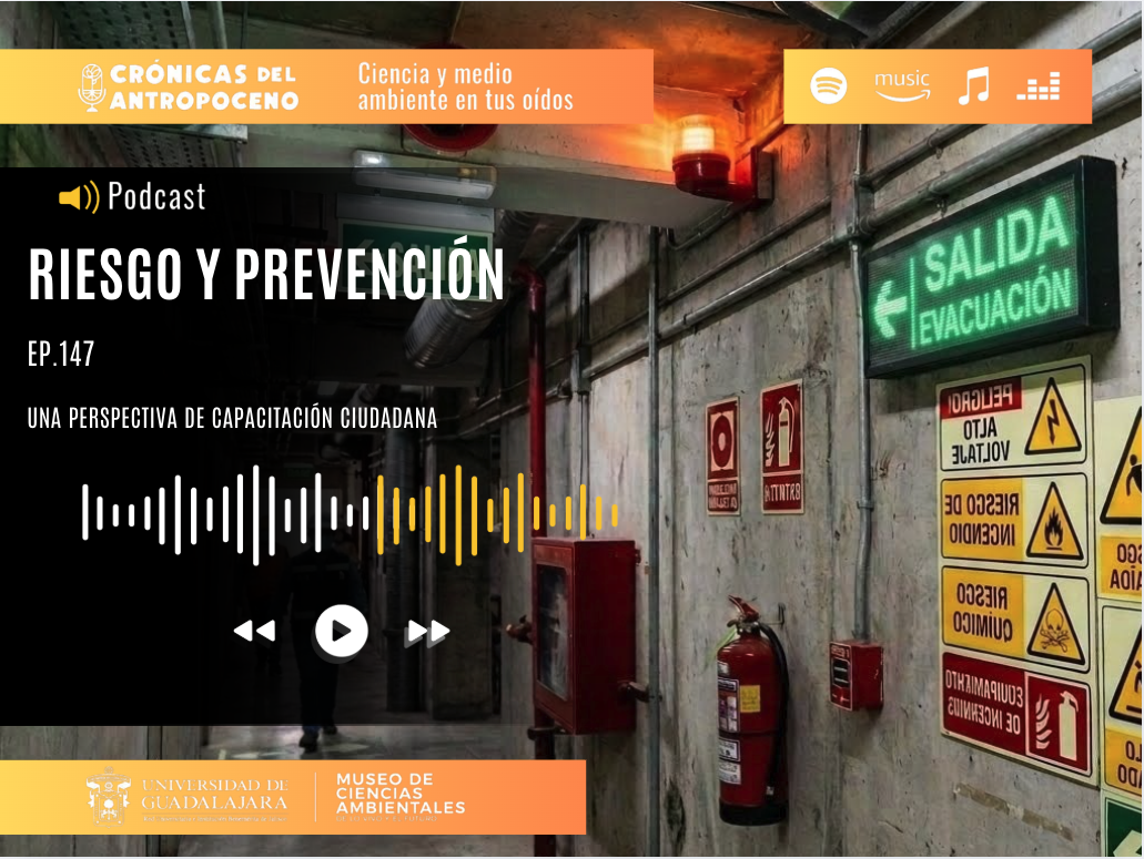 RIESGO Y PREVENCIÓN