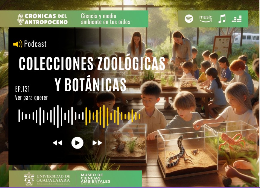 COLECCIONES ZOOLÓGICAS Y BOTÁNICAS