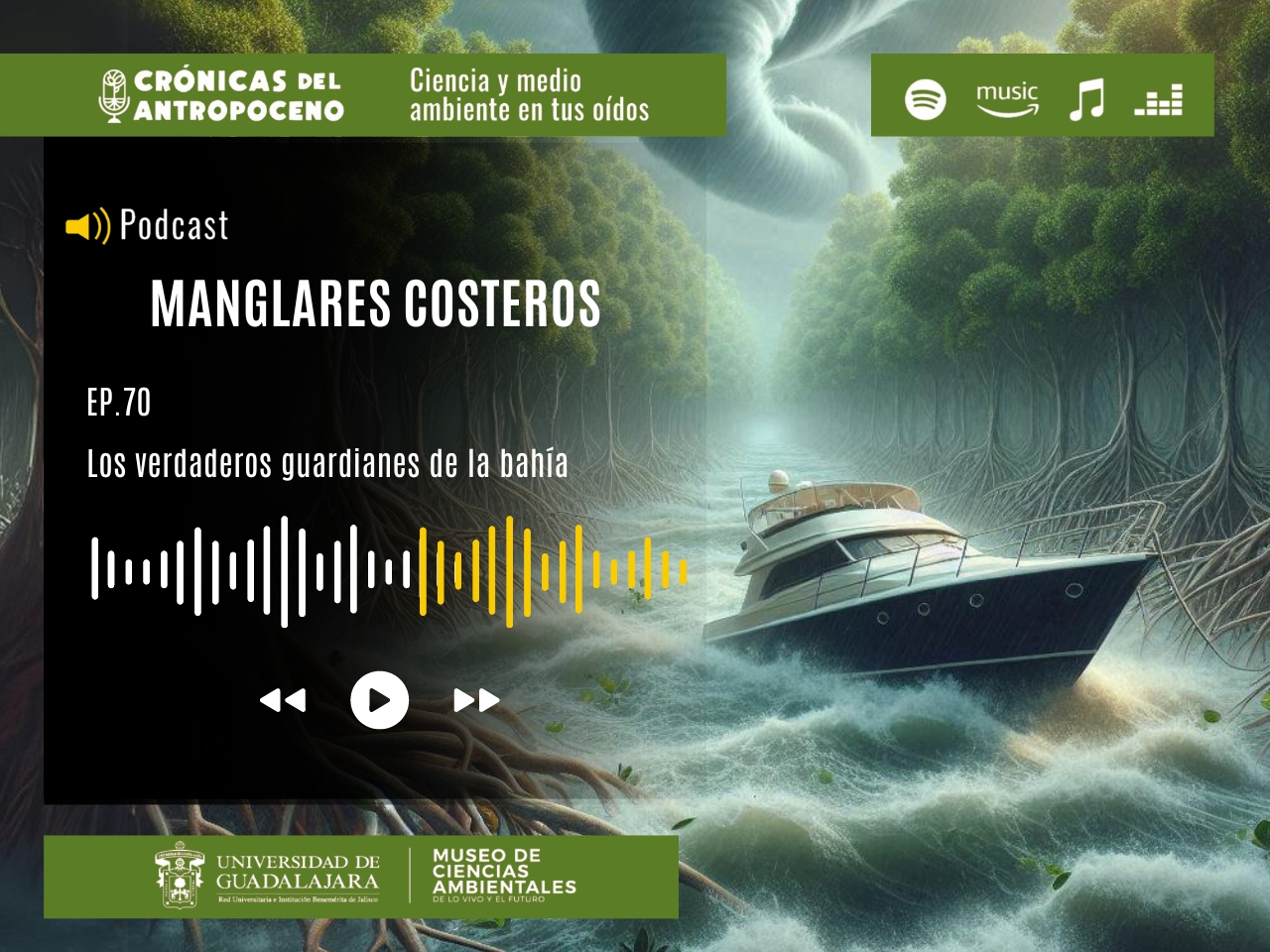 MANGLARES COSTEROS