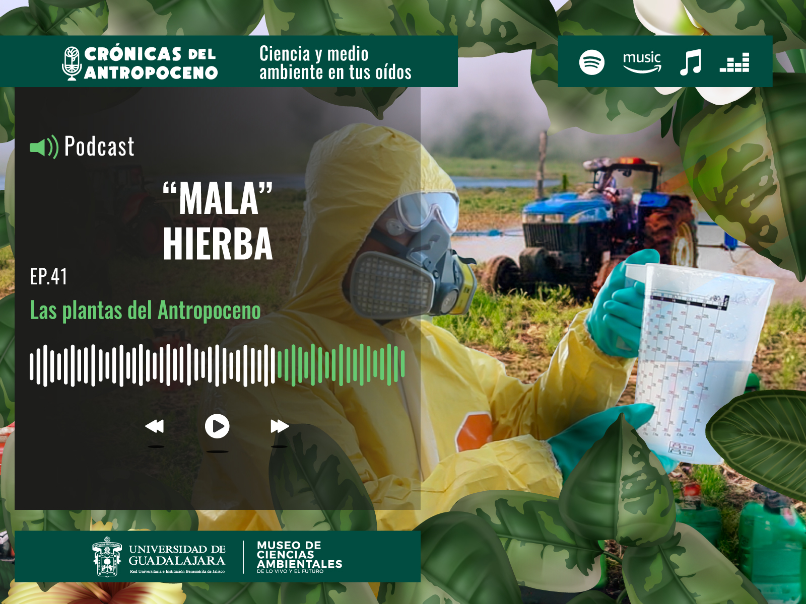 "MALA" HIERBA