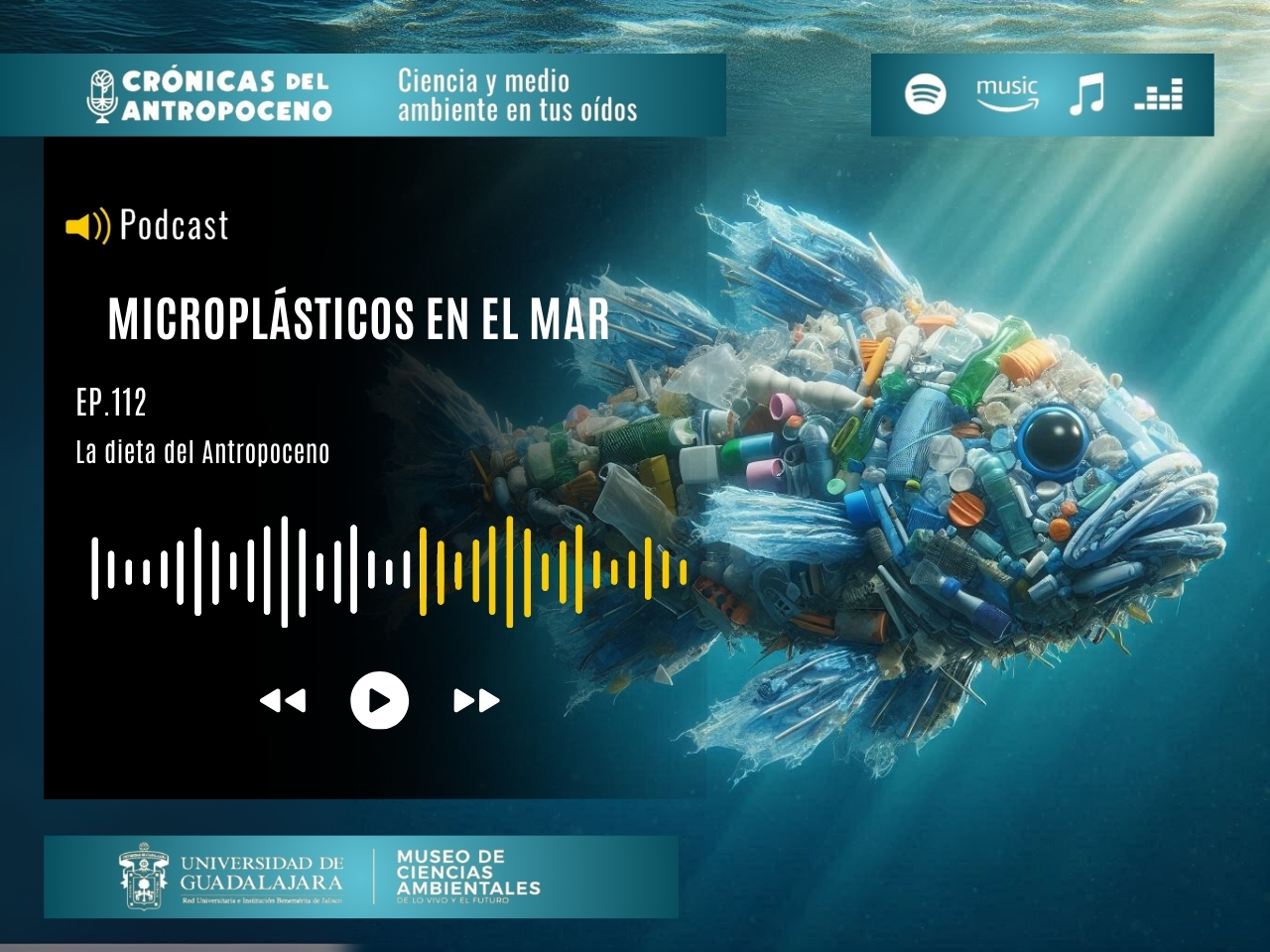 MICROPLÁSTICOS EN EL MAR