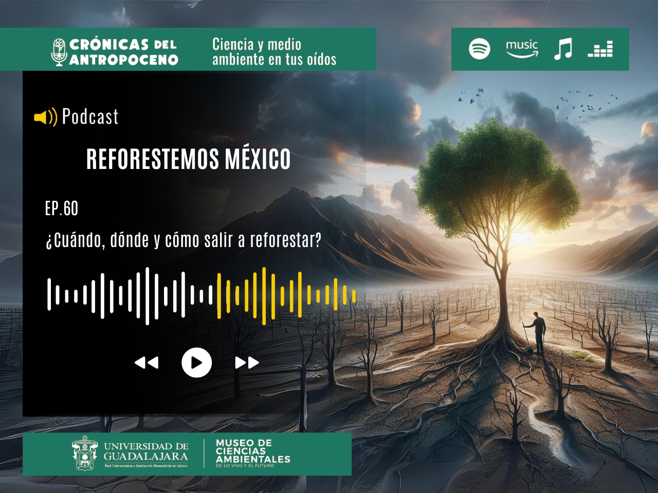Reforestemos México