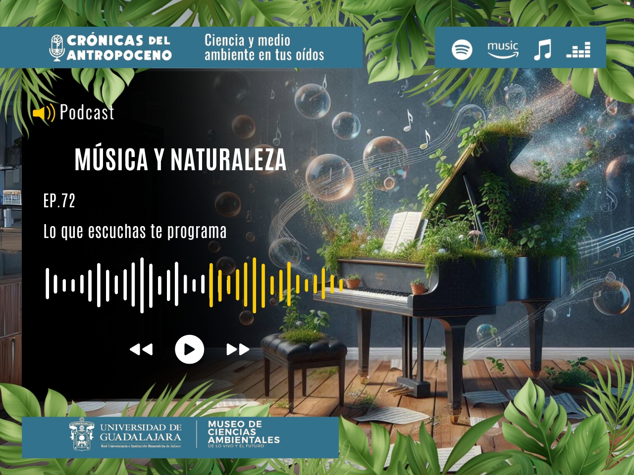 MÚSICA Y NATURALEZA