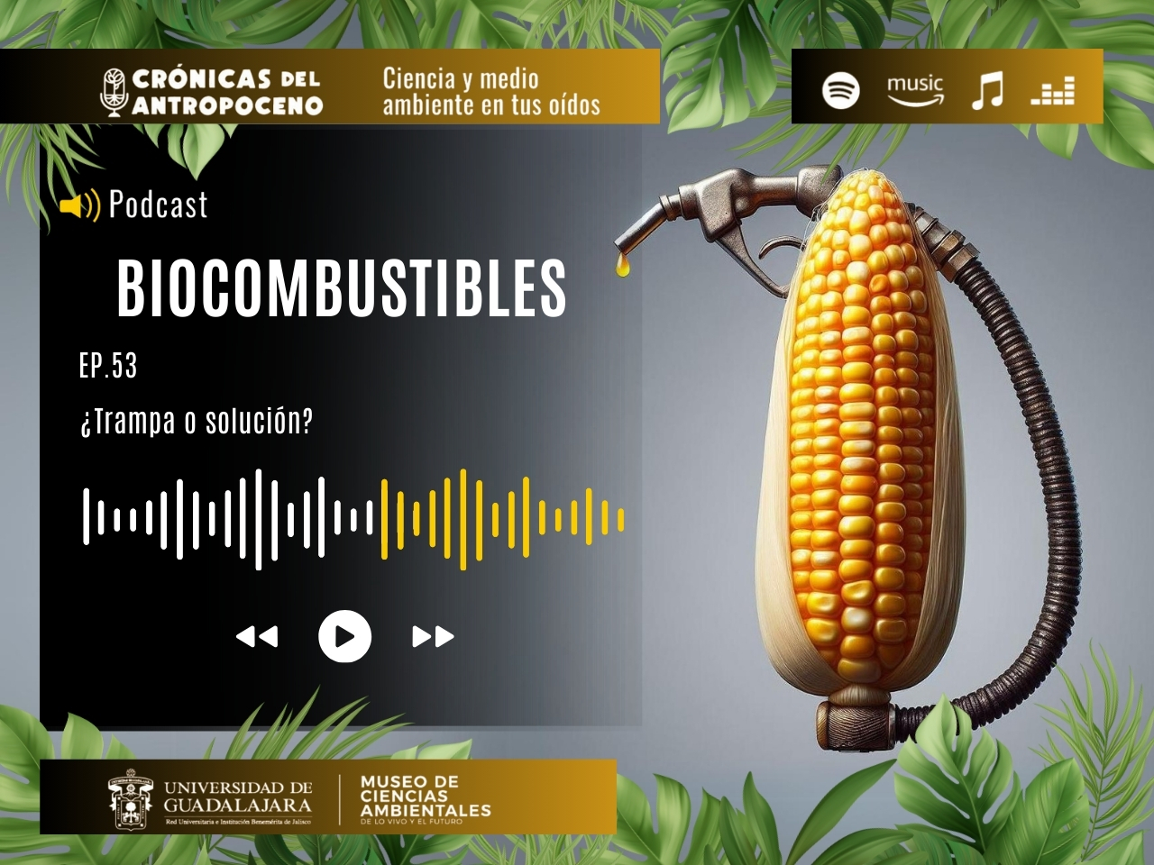 BIOCOMBUSTIBLES