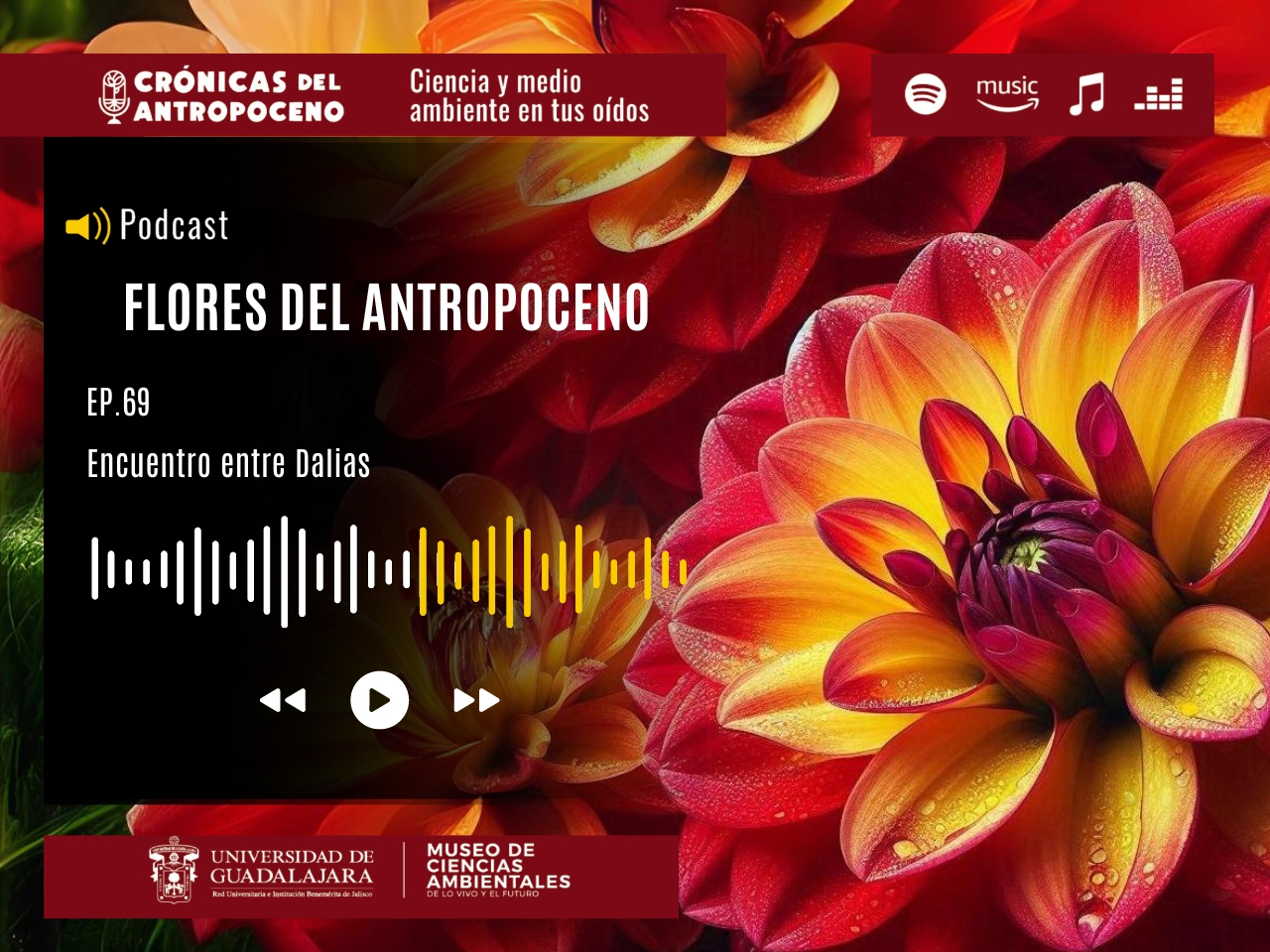 FLORES DEL ANTROPOCENO