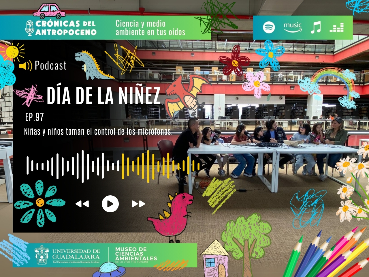 DÍA DE LA NIÑEZ