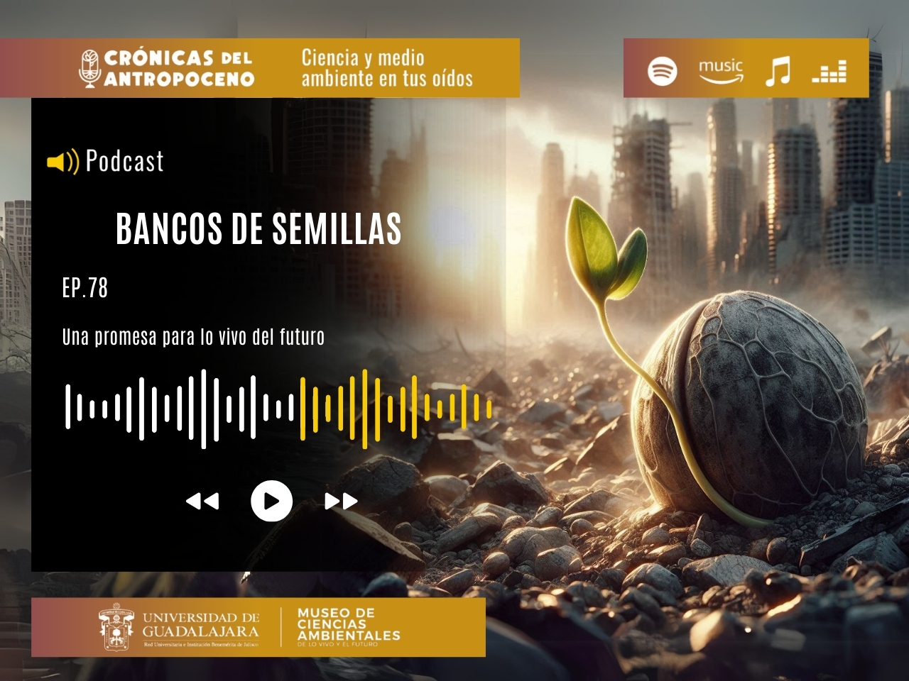 BANCOS DE SEMILLAS