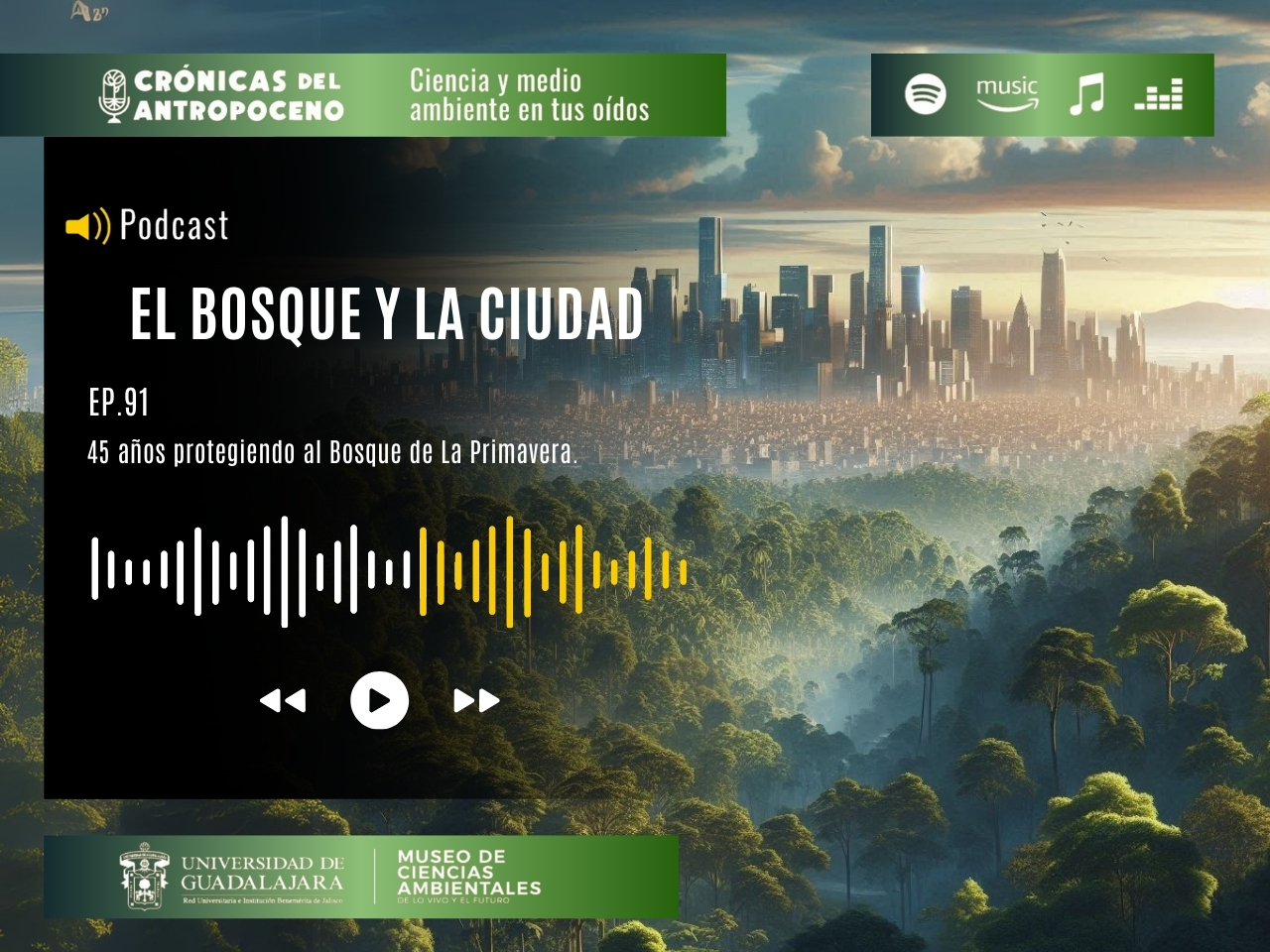 EL BOSQUE Y LA CIUDAD