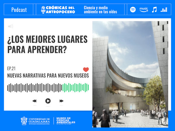 NUEVAS NARRATIVAS PARA MUSEOS