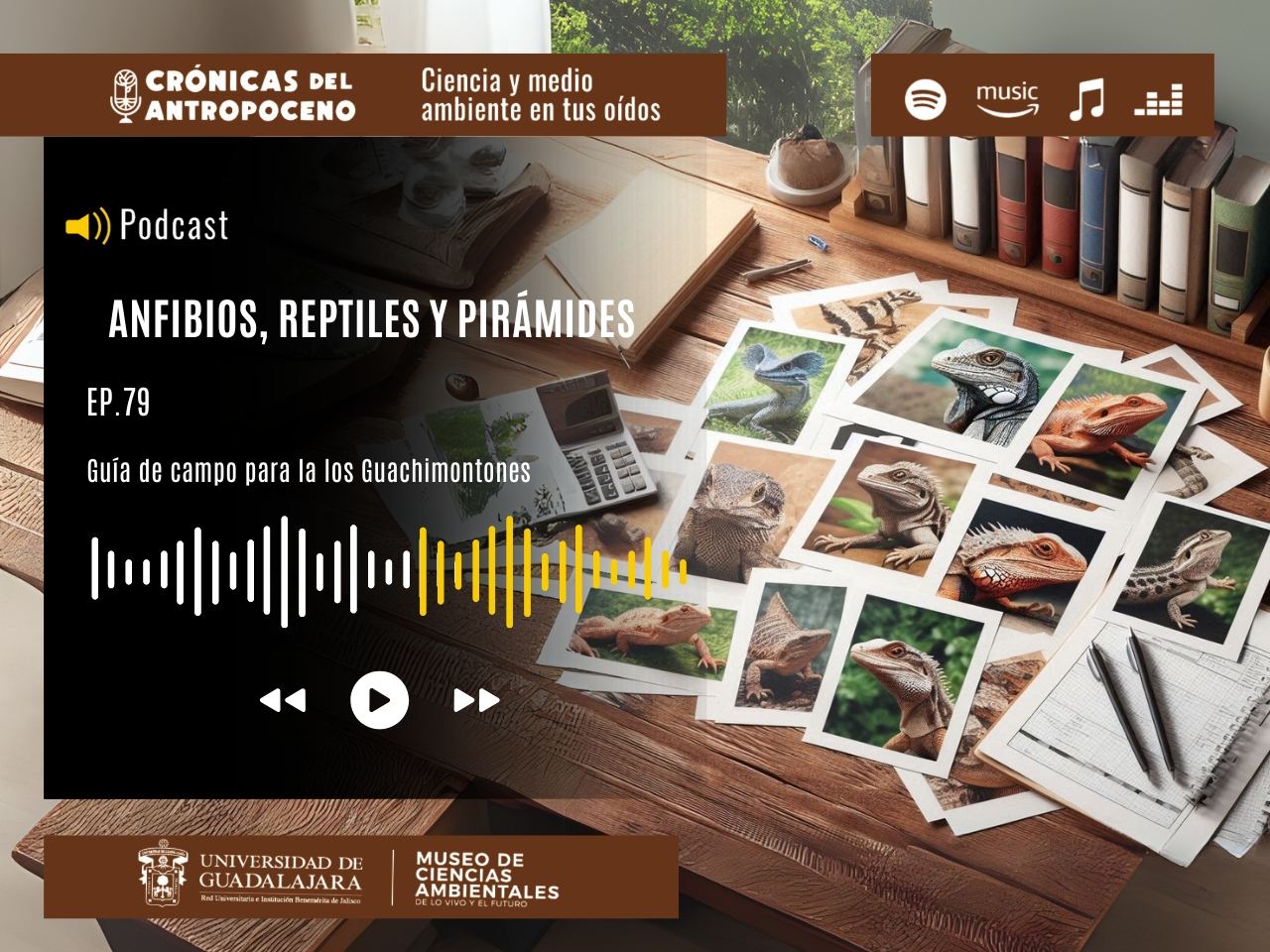 ANFIBIOS, REPTILES Y PIRÁMIDES